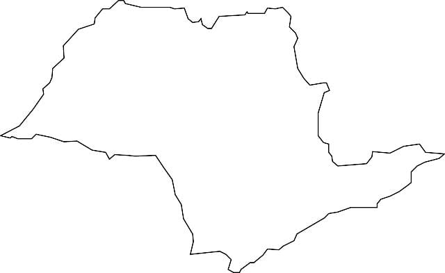 Mapa ng São Paulo vector
